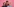 Drei Männer vor rosa Hintergrund