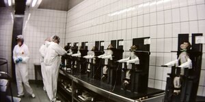 Affen sitzen, fixiert in Applikationsstühlen, davor stehen Mitarbeiter des Labors LPT in weißen Schutzanzügen