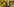 ein Mann am Rednerpult, im Hintergrund das BVB-Logo