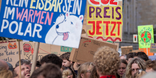 Menschen laufen bei Fridays for future