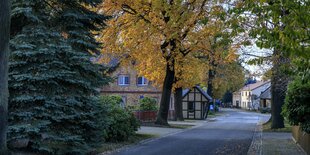 Blick auf eine Dorfstrasse