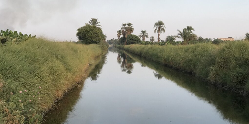 Kanal umsäumt von Pflanzen, Palmen, die sich im stillen Kanal spiegeln