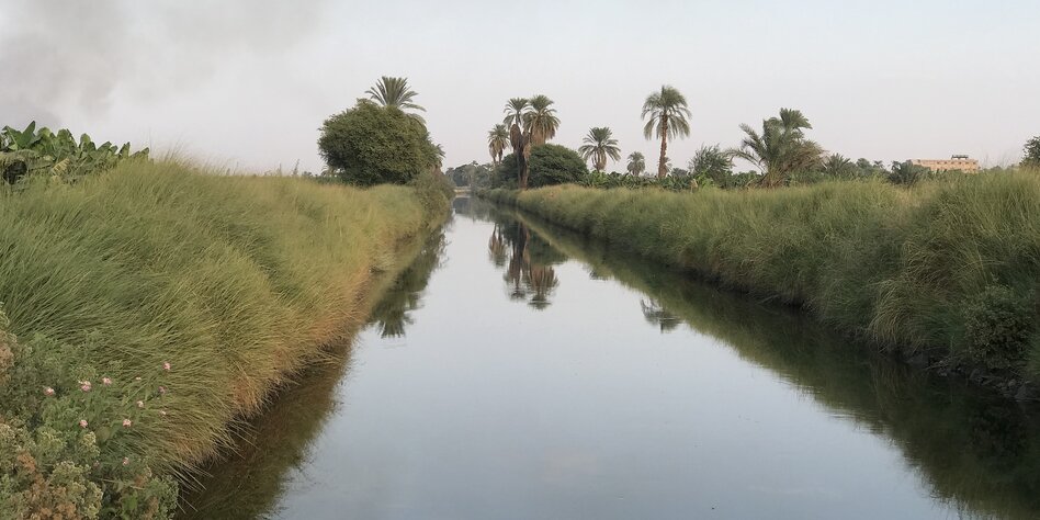 Kanal umsäumt von Pflanzen, Palmen, die sich im stillen Kanal spiegeln