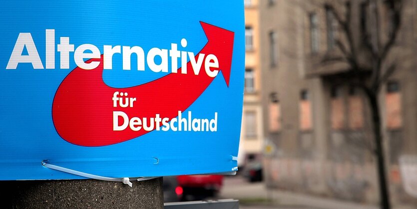 AfD-Wahlplakat, Detailaufnahme