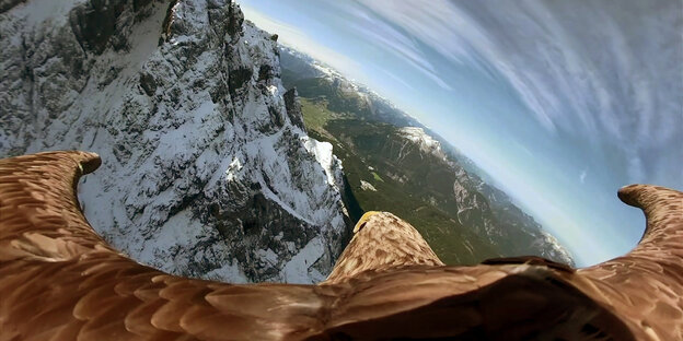Blick auf die Alpen von einer Kamera auf dem Rücken eines Adlers