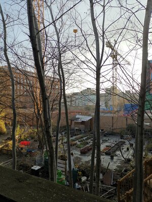 Blick von den Prinzessinnengärten aus auf das Nachbargrundstück Blick von den Prinzessinnengärten aus auf das Nachbargrundstück