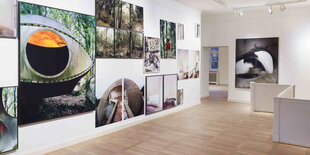 Blick ins Foyer des Hauses am Waldsee. An der Wand viele verschiedene Fotografien