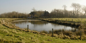 Ein Teich in flacher Marschlandschaft vor einem Bauernhaus
