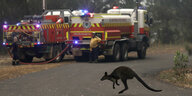 Feuerwehrfahrzeuge und ein Känguru