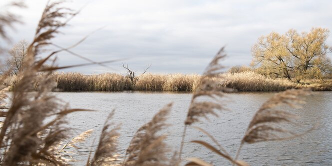 Flusslandschaft