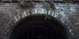 Äste und Nadelzweige hängen über dem Eingang des Hirsauer Tunnels bei Calw.