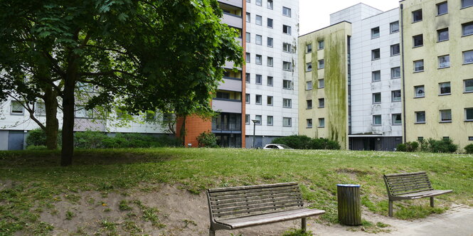 Die mit Grünspan bewachsenen Fassaden einer Wohnsiedlung, Im Vordergrund alte Parkbänke.