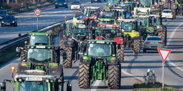 Landwirte aus Schleswig-Holstein fahren während einer Sternfahrt mit Traktoren in die Hamburger Innenstadt.
