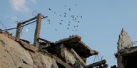 Vogelschwarm über Ruinen