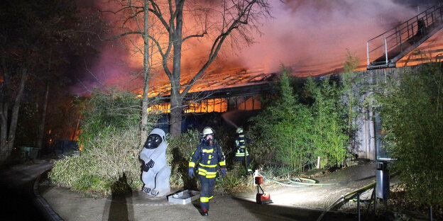 Feuerwehrleute stehen vor dem brennenden Affenhaus des Krefelder Zoos.