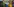 bunt angemaltes Haus mit Google-Logo