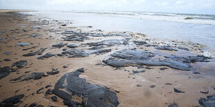 mit Öl verdreckter Strand