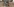 Mann mit großem Bild vor geöffneter Tür von eingegrabenem Container