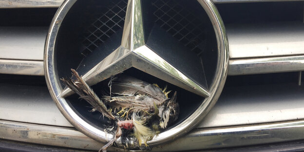 Ein toter Vogel steckt in einem Mercedes-Stern
