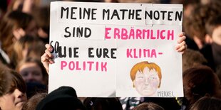 Fridays for Future: Ein Mensch hält ein Plakat auf einer Demo hoch