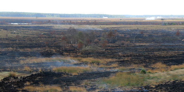 Rauch steigt von den verbrannten Flächen auf dem Moor in Meppen.