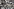 Viele Passbildautomatenbilder.