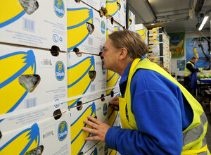 Ein Mann mit Warnweste riecht an Bananenkisten Ein Mann mit Warnweste riecht an Bananenkisten