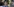 Zwei Soldaten halten neben einem Sarg Ehrenwache, dahinter ein Schwarz-Weiß-Bild eines Mannes mit Brille