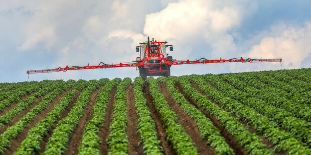 Ein roter Traktor mit großen Auslegern fährt über einen Kartoffelacker