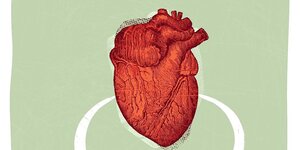 Ein gemaltes rotes Herz - Organ