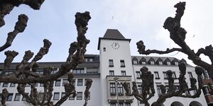 Platanen stehen vor dem Bezirksrathaus Köln Porz