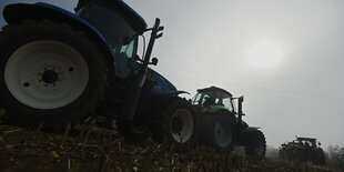 Storch steigt in bewölktem Himmel auf