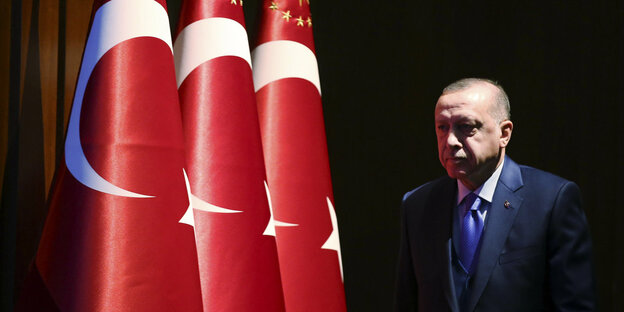 Erdogan und türkische Flaggen