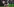 Leipziger Spieler jubeln vor einem Fan-Banner
