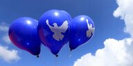 drei blaue Luftballons mit Firedenstaube
