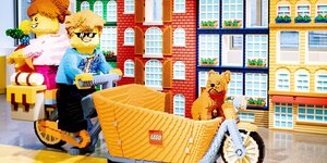 Lastenrad , Hund im Anhänger, schöne klleine Häuser- alles Lego