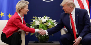 von der Leyen und Trump geben sich die Hände vor EU und US Flagge