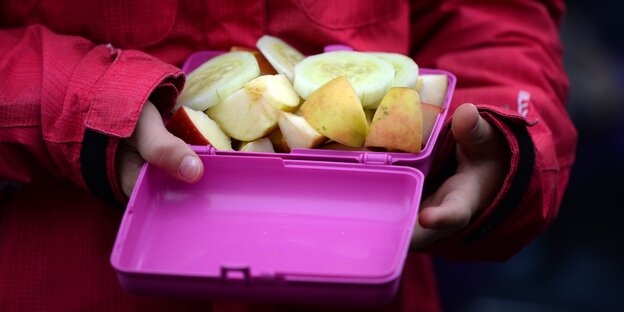 Brotbox mit Äpfeln und Gurkenscheiben