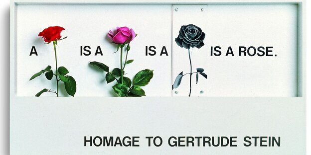 In einem Bilderrahmen sind drei Rosen, pflanzlich und künstlich verbunden durch den Satz "a rose is a rose.." In einem Bilderrahmen sind drei Rosen, pflanzlich und künstlich verbunden durch den Satz "a rose is a rose.."