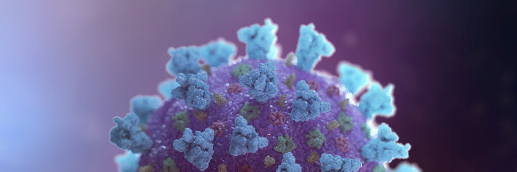 Computerdarstellung des Covid-19 Virus. Foto: reuters