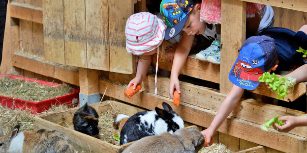 Kinder füttern Kaninchen in einem Stall