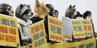 TierschutzaktivistInnen demonstrieren mit Tiermasken gegen Massentierhaltung als Ursache für den den Ausbruch des Coronavisus.
