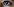 Logo spiegelt sich im Auge einer Nutzerin wider