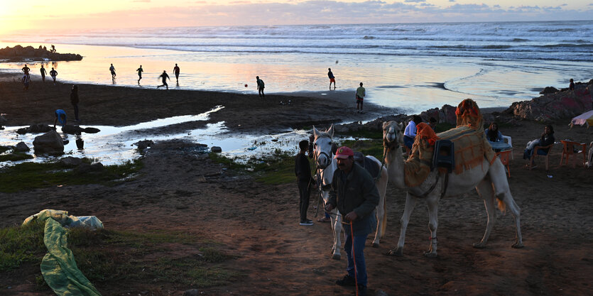 Touristenkamel am Strand