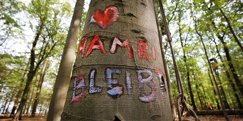 Ein Baum in den farbig "Hambi bleibt" eingeritzt ist