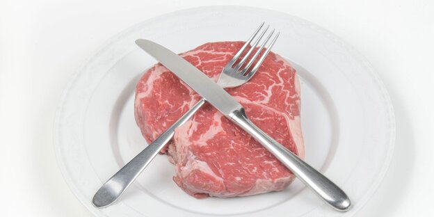 Ein Stück Fleisch liegt auf einem weisssen Teller, Messer und Gabel überkreuzt