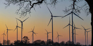 Windenergieräder und Bäume beim Sonnenaufgang
