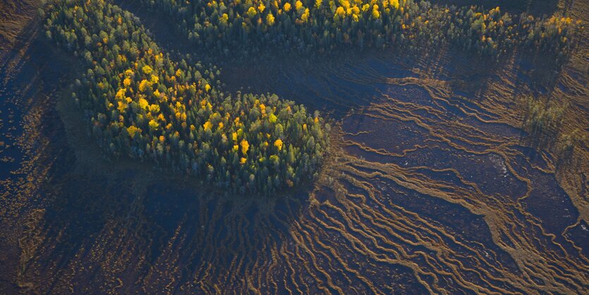 Luftaufnahme einer Moorlandschaft in Finnland