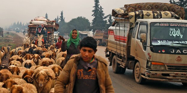 Syrien: Ein Schafshirt, Schafe und beladene Lkws und Traktoren