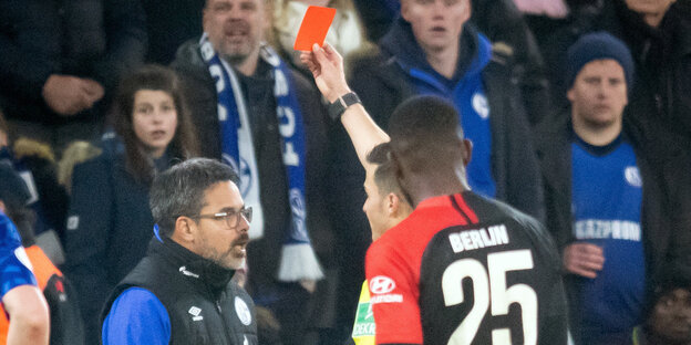 Schalke-Trainer David Wagner sieht die Rote Karte